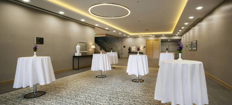 埃尔津詹希尔顿花园酒店(Hilton Garden Inn  Erzincan)图片