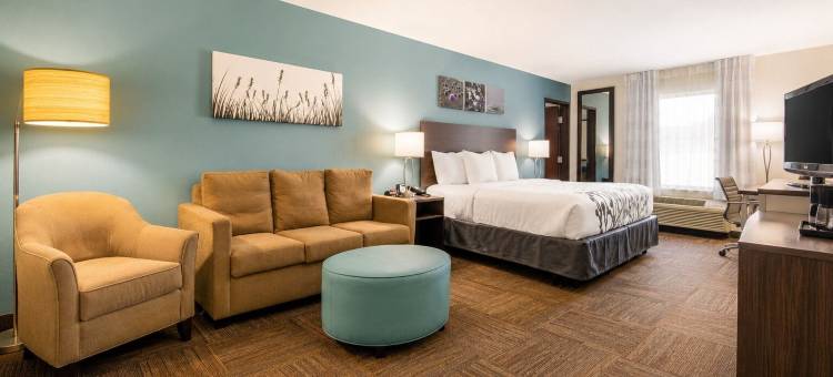舒眠套房旅馆休斯敦Westchase-小西贡(Sleep Inn & Suites Houston Westchase - Little Saigon)图片
