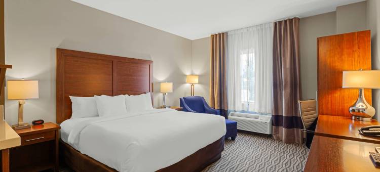 舒适套房酒店(Comfort Inn & Suites)图片