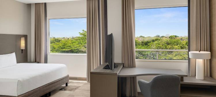 普拉亚德尔卡曼居家酒店(Residence Inn Playa del Carmen)图片