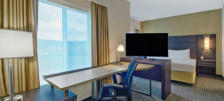 雷丁居家酒店(Residence Inn Reading)图片