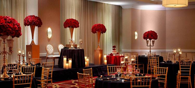 新奥尔良梅泰里莱克威万豪酒店(New Orleans Marriott Metairie at Lakeway)图片