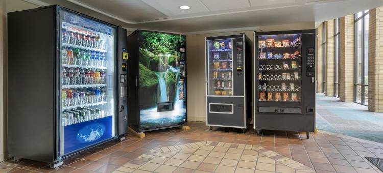 Red Roof Inn La Marque – Texas City图片
