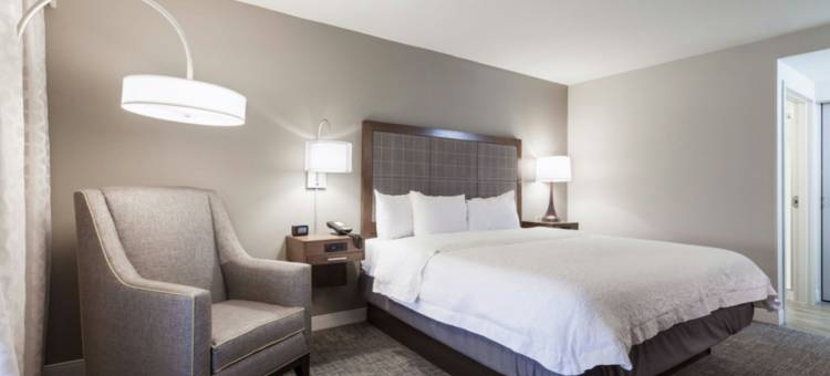 达拉斯DFW机场北葡萄藤欢朋套房酒店(Hampton Inn & Suites Dallas-DFW Airport N/Grapevine)图片