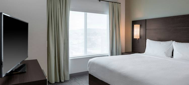 兰开斯特棕榈谷居家酒店(Residence Inn Lancaster Palmdale)图片