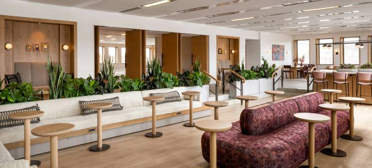 纽黑文马塞尔酒店，希尔顿启缤精选(Hotel Marcel New Haven, Tapestry Collection by Hilton)图片