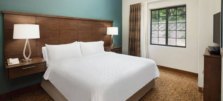 达勒姆教堂山RTP Staybridge Suites(Staybridge Suites DURHAM-CHAPEL HILL-RTP by IHG)图片