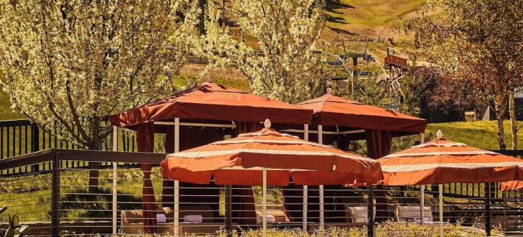 斯诺基恩度假酒店(Trailborn Jackson Hole)图片