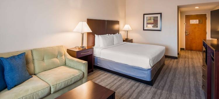 坦帕贝斯特韦斯特酒店(Best Western Tampa)图片