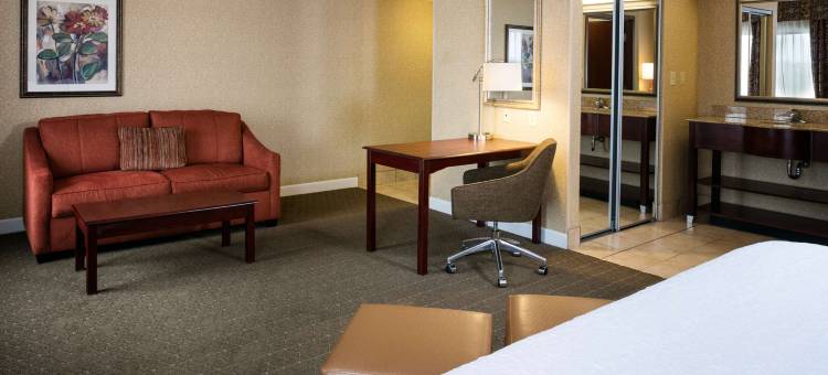 托雷多佩利斯堡希尔顿欢朋旅馆&套房酒店(Hampton Inn & Suites Toledo-Perrysburg)图片