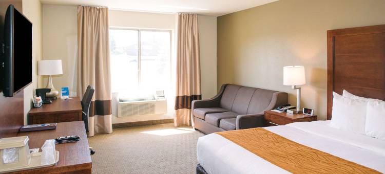 舒适套房酒店(Comfort Inn & Suites)图片