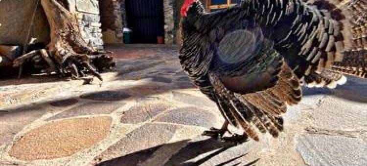 Mi Ranchito Chignahuapan Hotel图片