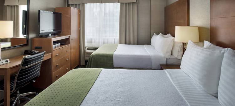 切尔西曼哈顿第六大道假日酒店(Holiday Inn Manhattan 6th Ave - Chelsea)图片