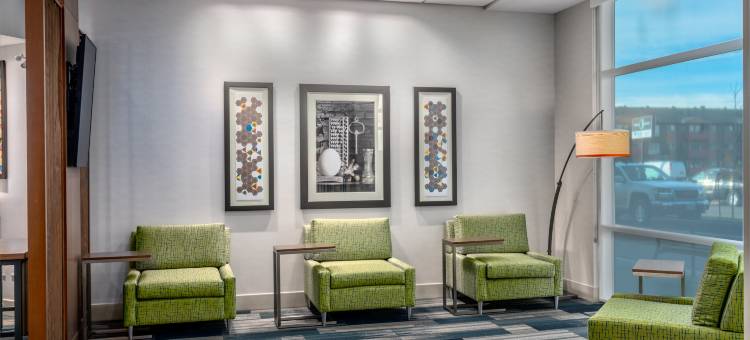 布兰顿智选假日套房酒店(Holiday Inn Express & Suites BRANDON by IHG)图片