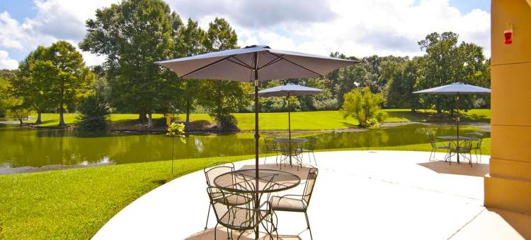 弗朗西斯酒店(Hotel Francis)图片