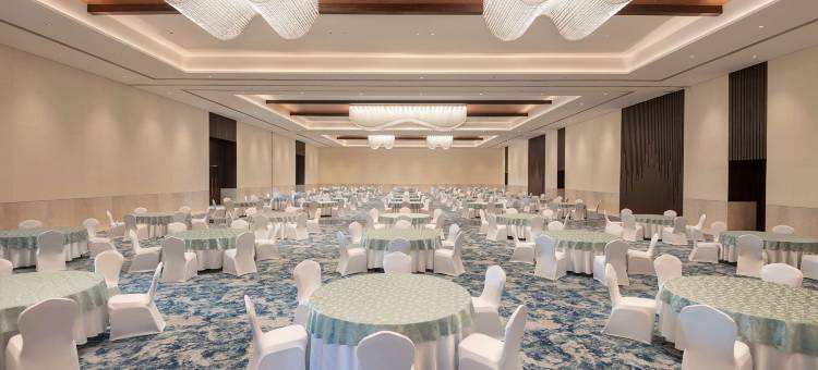 维沙卡帕特南丽笙度假酒店(Radisson Blu Resort Visakhapatnam)图片