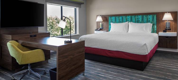 欢朋酒店与套房印第安纳波利斯阿文(Hampton Inn & Suites by Hilton Avon Indianapolis)图片
