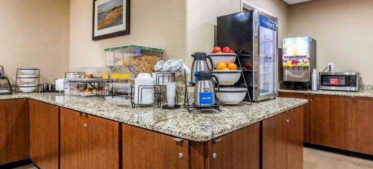 美国之路孟菲斯舒适套房机场酒店(Comfort Inn & Suites Airport-American Way)图片