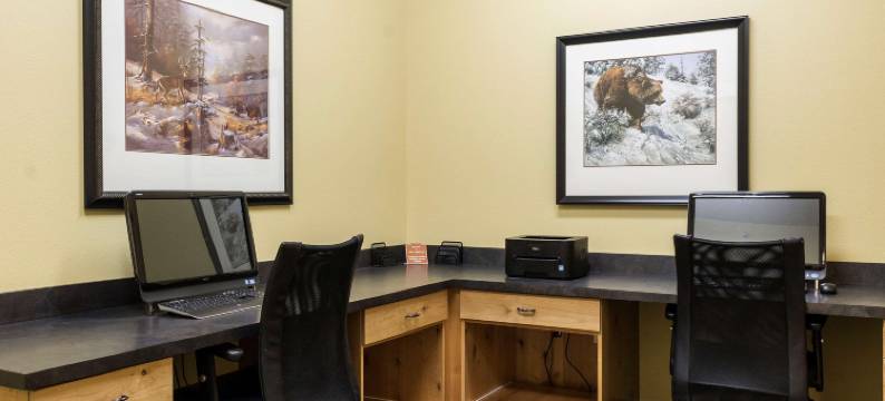 威利斯顿美茵斯坦套房酒店(MainStay Suites Williston)图片