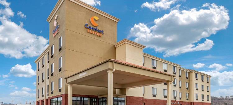 佩勒姆胡佛I-65号舒适套房酒店(Comfort Suites Pelham Hoover I-65)图片