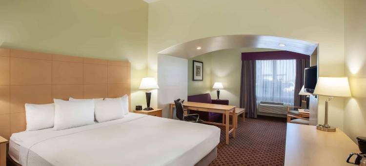 奥德萨北拉昆塔温德姆套房酒店(La Quinta Inn & Suites by Wyndham Odessa North)图片