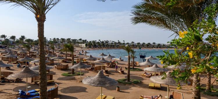 沙漠玫瑰度假村(Desert Rose Resort)图片