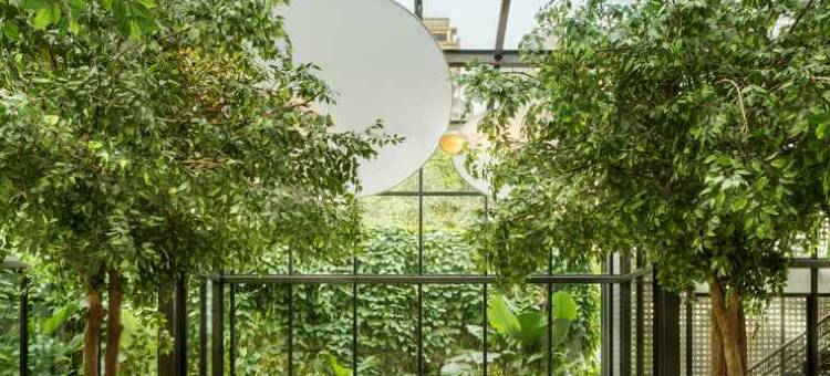 泗水JW万豪酒店(JW Marriott Hotel Surabaya)图片