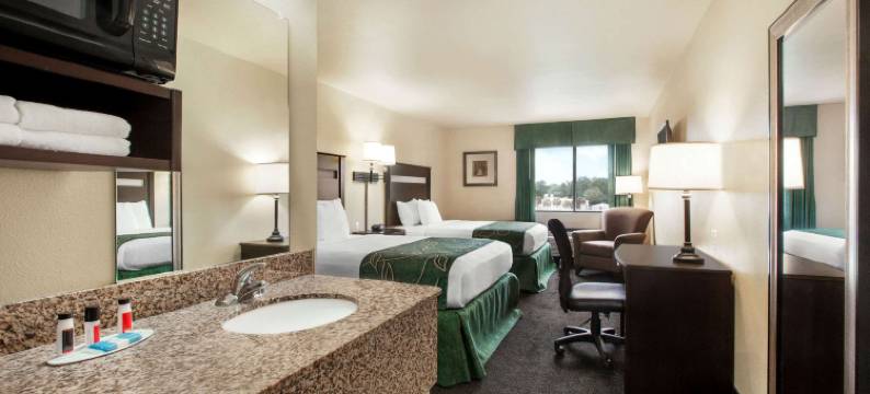 利沃尼亚Travelodge by Wyndham酒店(Travelodge by Wyndham Livonia)图片