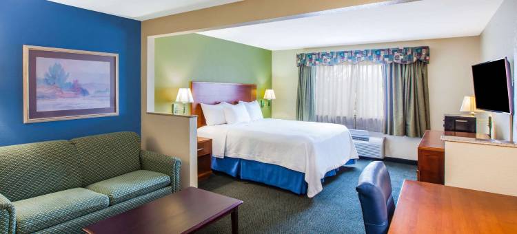 科珀斯克里斯蒂中央戴斯套房酒店(Days Inn & Suites by Wyndham Corpus Christi Central)图片