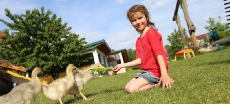 肯德勒霍夫农家乐(Kerndlerhof)图片