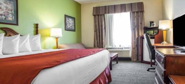佛罗伦萨马斯尔肖尔斯凯艺酒店(Quality Inn Florence East)图片