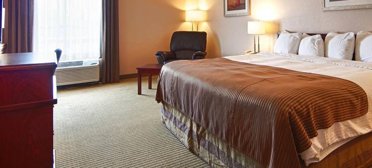 高路贝斯特韦斯特酒店(Best Western High Road Inn)图片