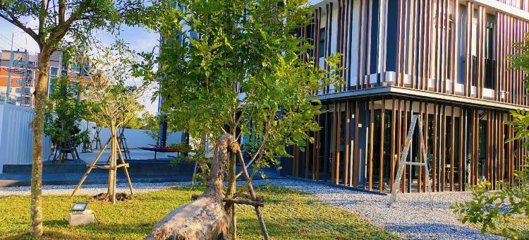 BB House Paedriw图片