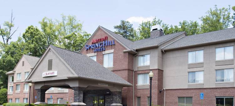 亚特兰大阿尔普哈雷塔万豪SpringHill酒店(SpringHill Suites Atlanta Alpharetta)图片