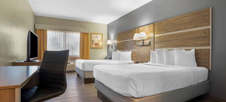 沃库拉贝斯特韦斯特优质套房酒店(Best Western Wakulla Inn  Suites)图片