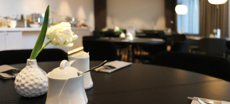 拉文斯堡GINN城市和酒廊酒店(Ginn City and Lounge Ravensburg)图片