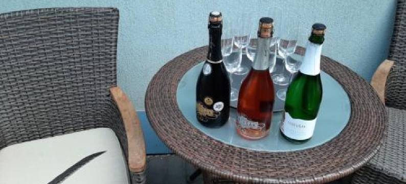 Garni Hotel S.O.G.图片