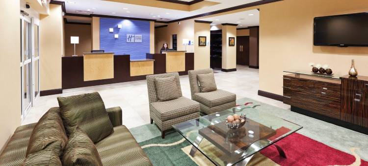 智选假日套房酒店埃尔帕索(Holiday Inn Express & Suites El Paso West)图片