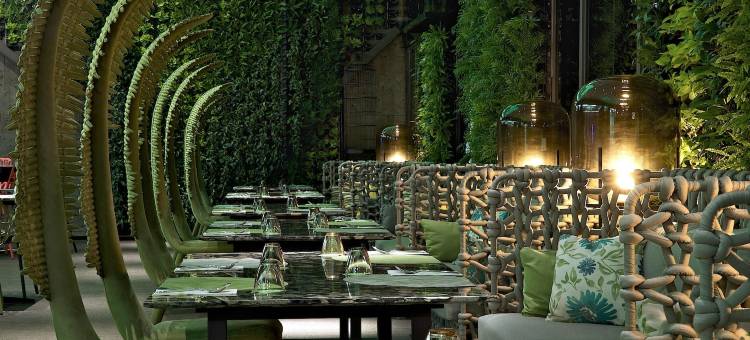 台北阿树国际旅店图片