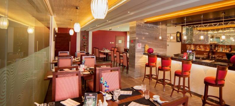 拉菲斯中心点酒店(Raviz Center Point Hotel)图片