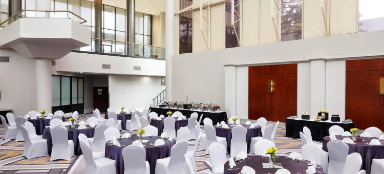 达拉斯逸林酒店-近The Galleria(DoubleTree by Hilton Hotel Dallas Near the Galleria)图片