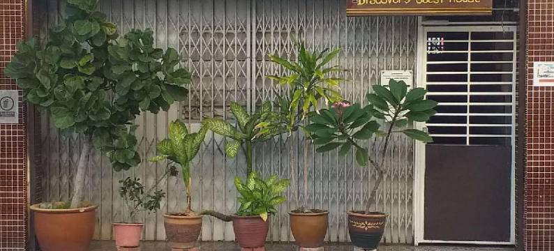 马六甲探索青年旅馆(Discovery Youth Hostel Malacca)图片