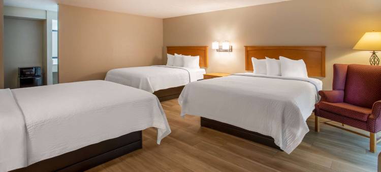 柏奇伦戴斯酒店(Days Inn Birch Run)图片