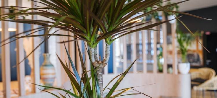 宜必思快捷鲁昂中心里韦戈什酒店(Ibis Budget Rouen Centre Rive Gauche)图片