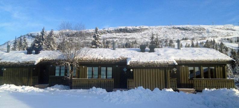 斯凯公寓(Skei Apartments)图片