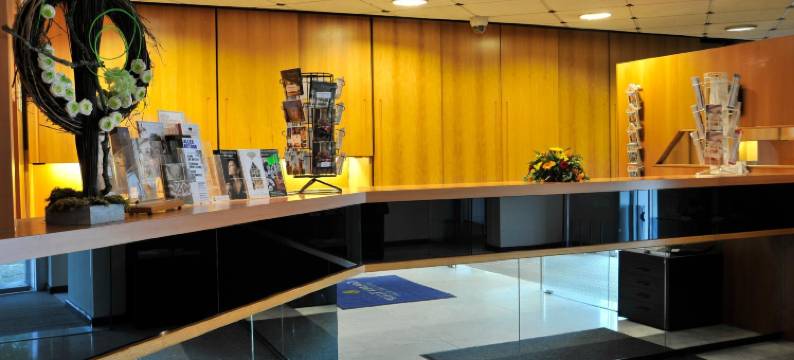 德美第奇金色郁金香酒店(Golden Tulip Hotel de Medici)图片