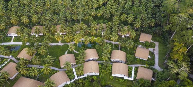 安达曼塔吉艾索地卡度假村及水疗中心(Taj Exotica Resort & Spa, Andamans)图片