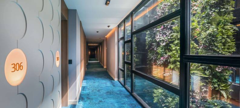 巴塞罗菲unchal老城(Barceló Funchal Oldtown)图片