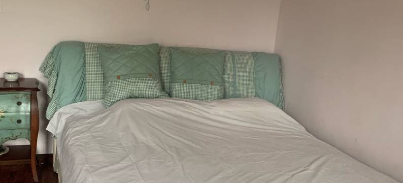 薇姐姐度假别墅(大学路分店)图片