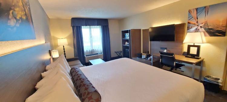好莱坞/探险贝斯特韦斯特优质酒店(Best Western Plus Hollywood/Aventura)图片